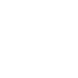 Smiley Foundation